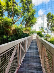 Adam Place (D11), Apartment #444570281